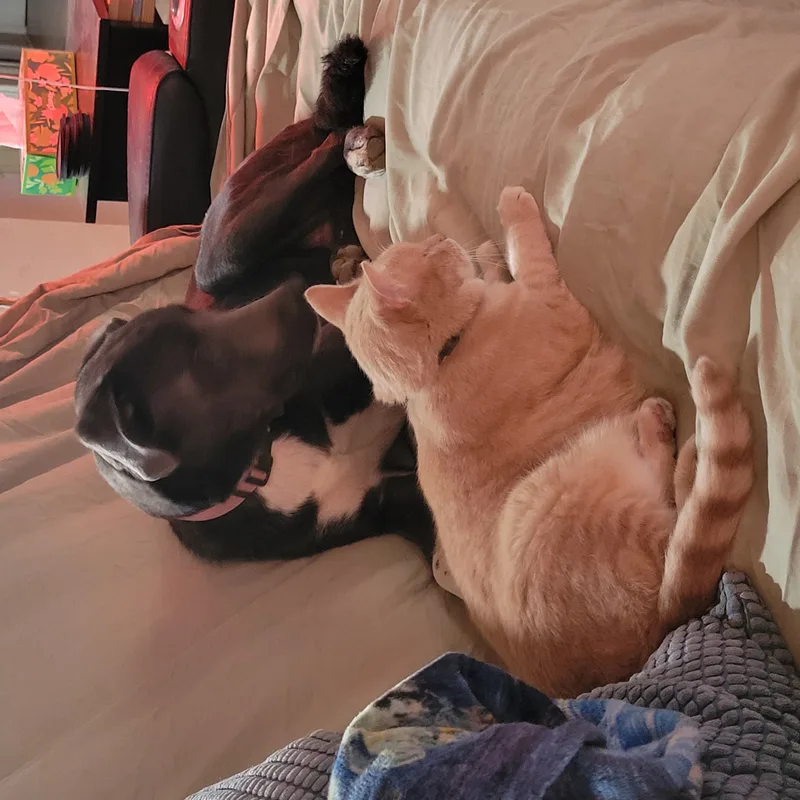 Lightning Mcqueen thumbnail 2