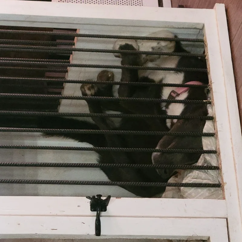 Lightning Mcqueen thumbnail 3