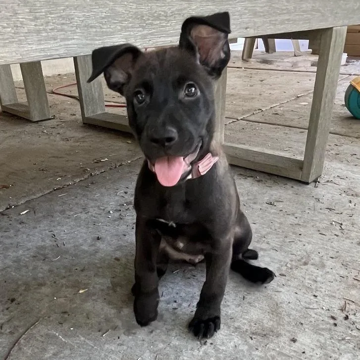 Minnie