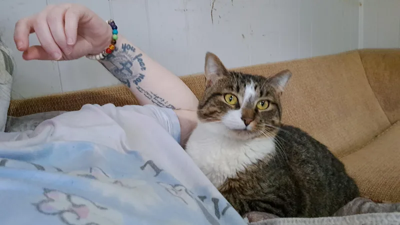 Sriracha thumbnail 2