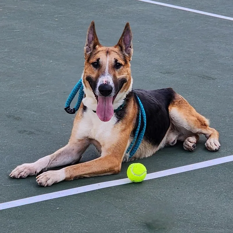 Waffles City Of Industry thumbnail 6