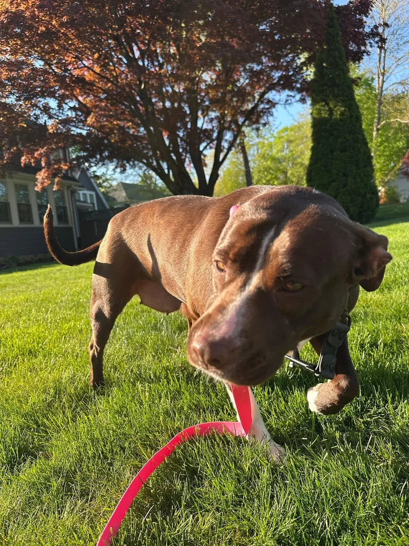 Cassie thumbnail 3