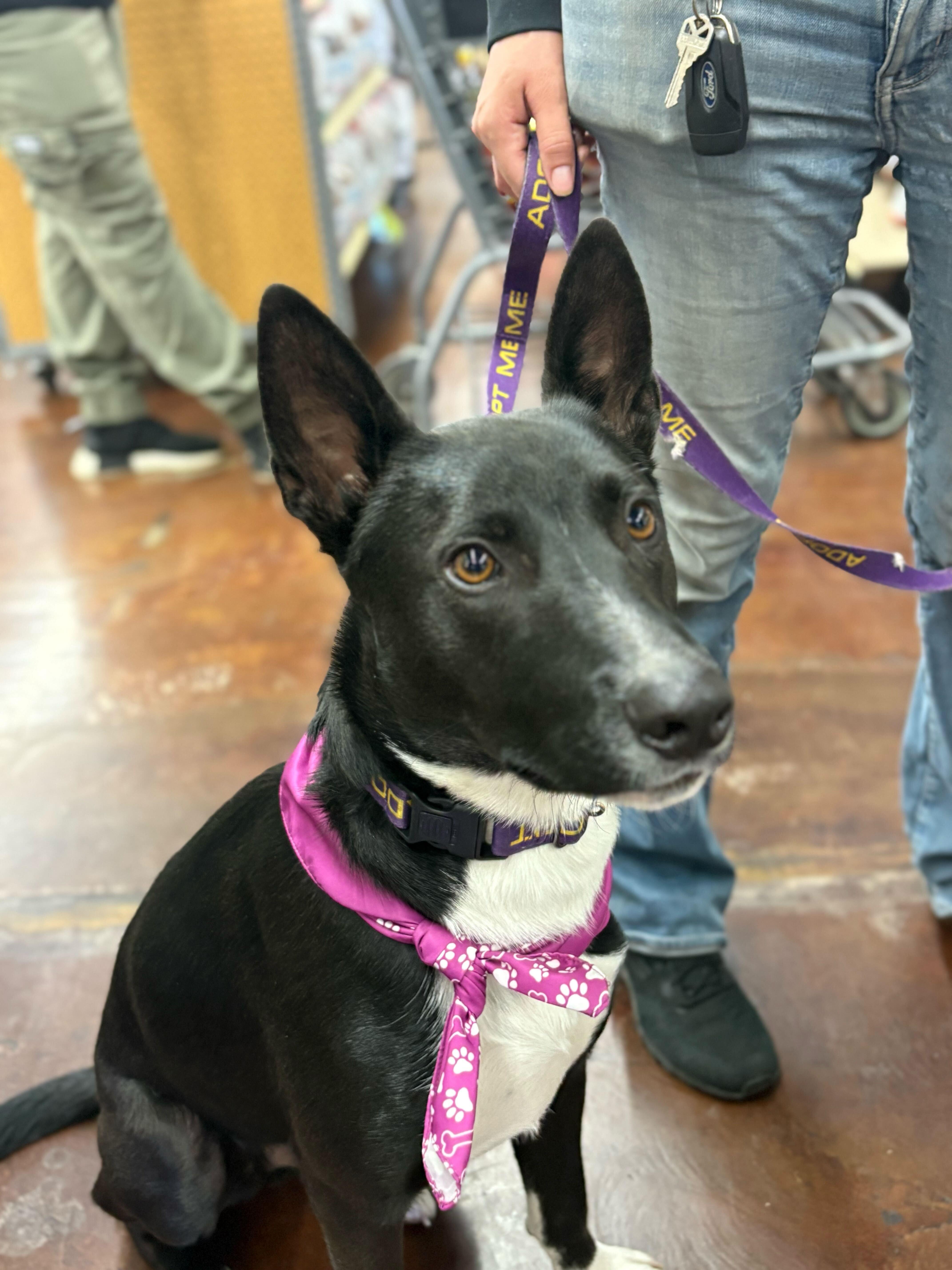 Banjo Kazooie thumbnail 2