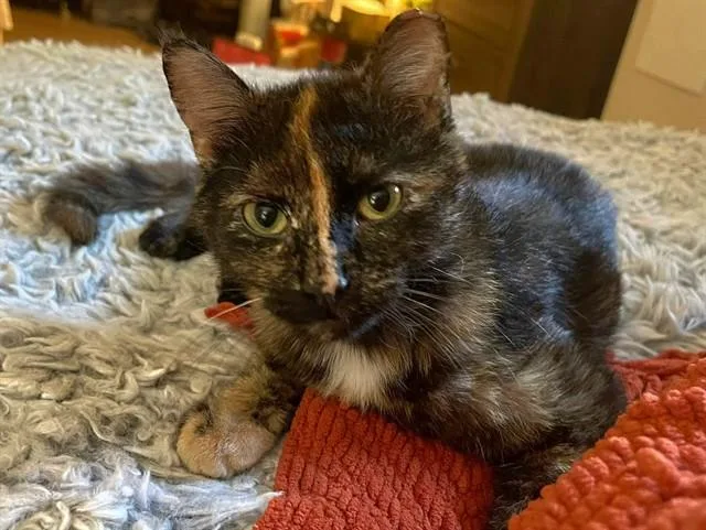 Vivian