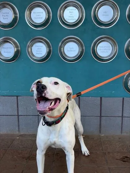 Charming thumbnail 2