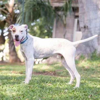 Charming thumbnail 3