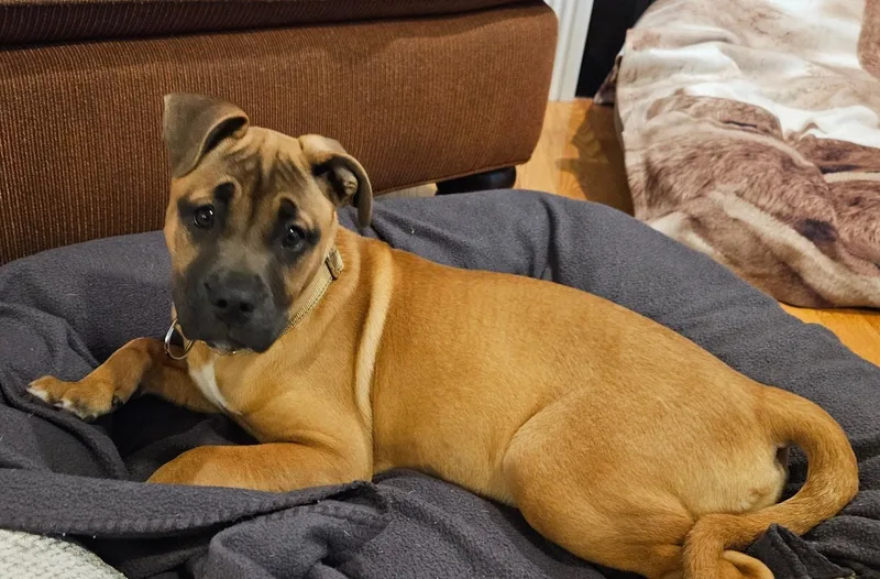 Charlotte Cutiepie  Local thumbnail 3