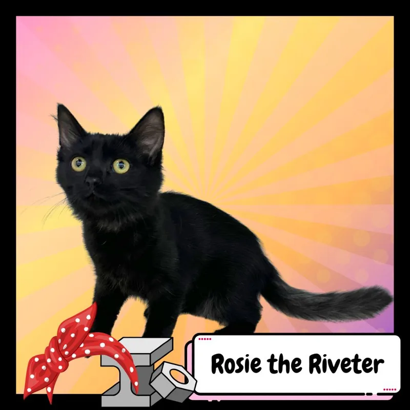 Rosie The Riveter thumbnail 5