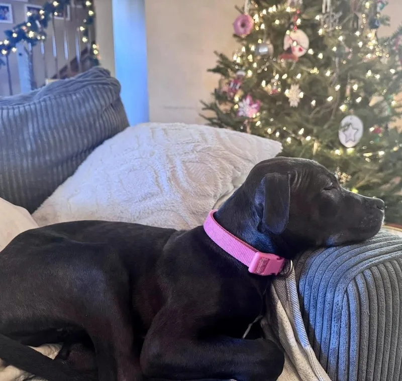 Wednesday thumbnail 2