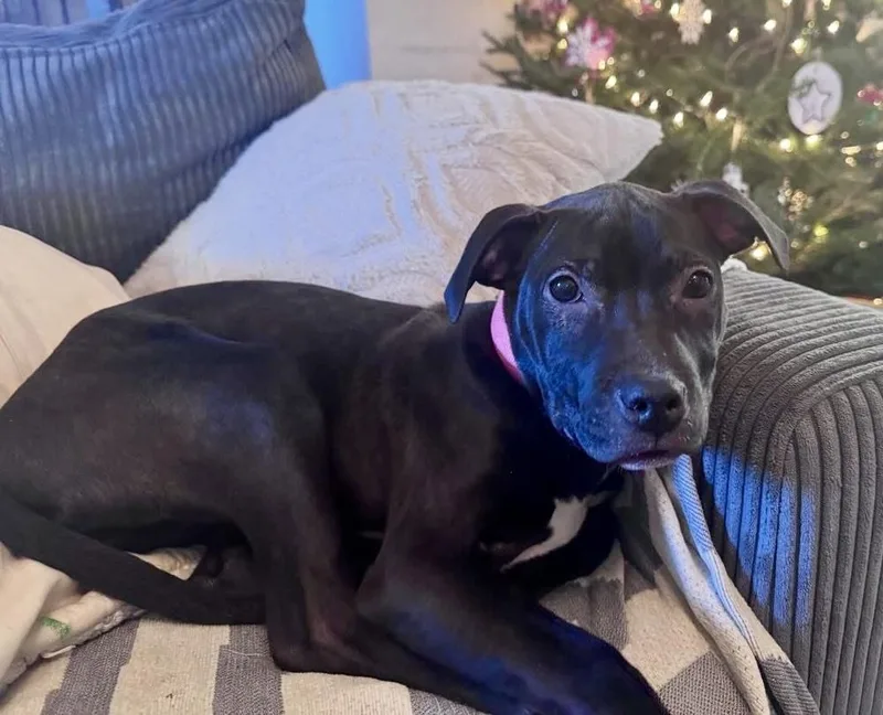 Wednesday thumbnail 4