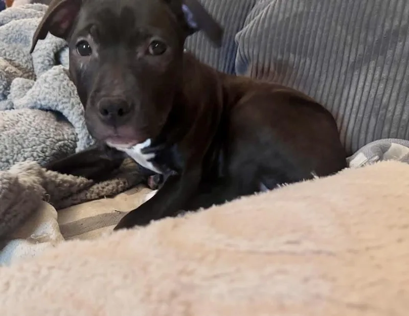 Wednesday thumbnail 5