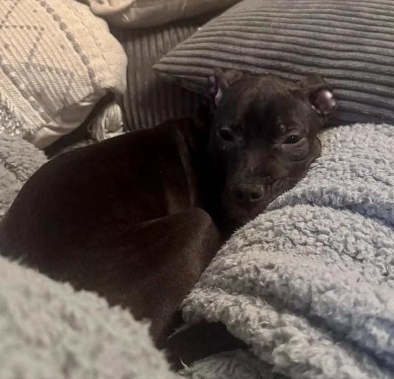 Wednesday thumbnail 6