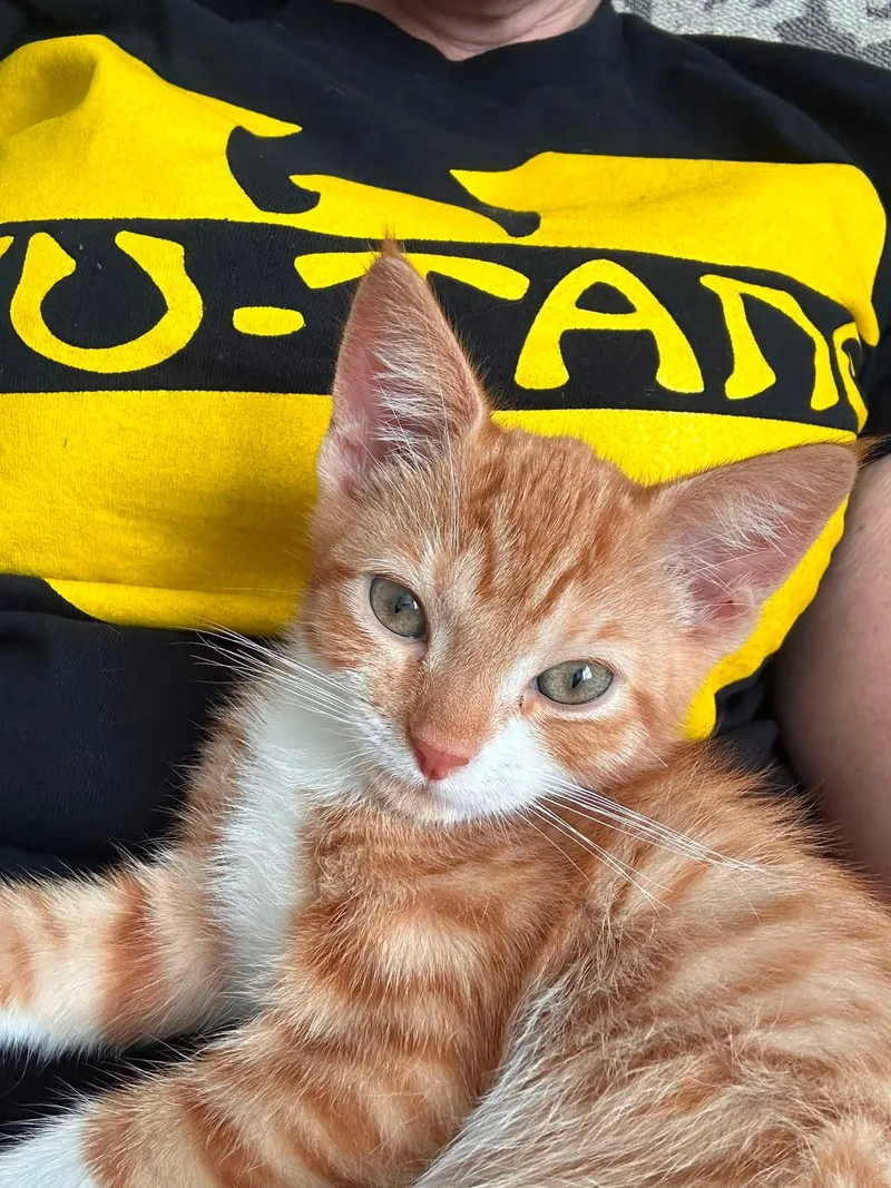 Axel and Cattoo thumbnail 2
