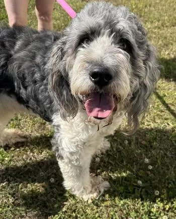 Tucker