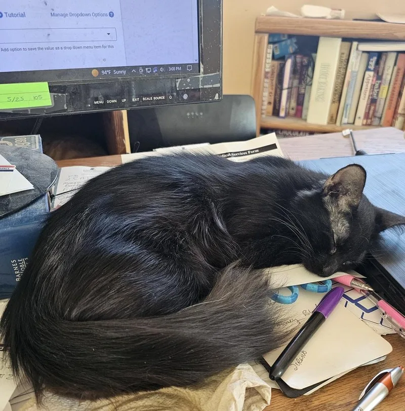 Deadbeat Debby thumbnail 3