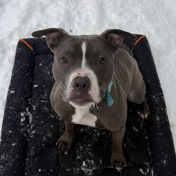 Goobella thumbnail 2