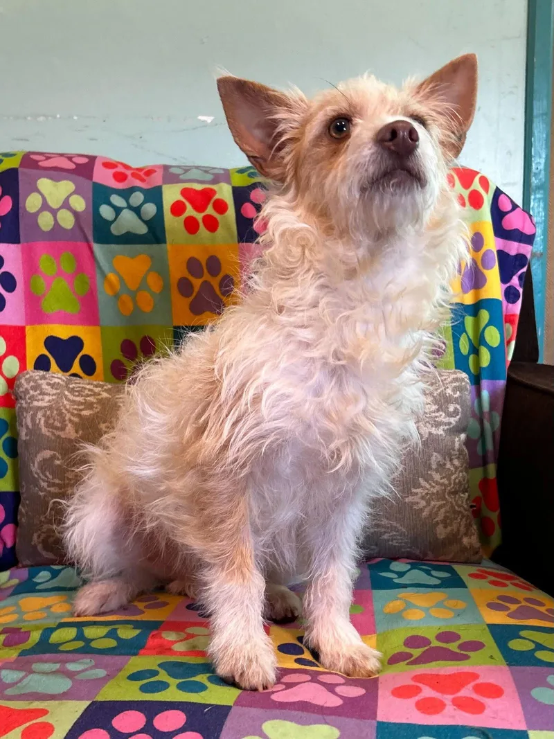 Nathan Mar thumbnail 2