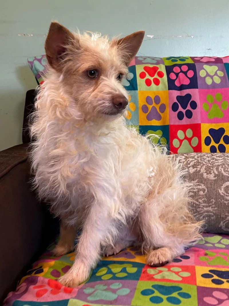 Nathan Mar thumbnail 3