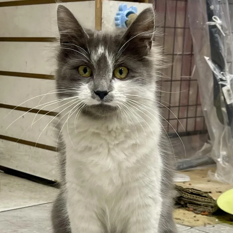 Juliette thumbnail 2