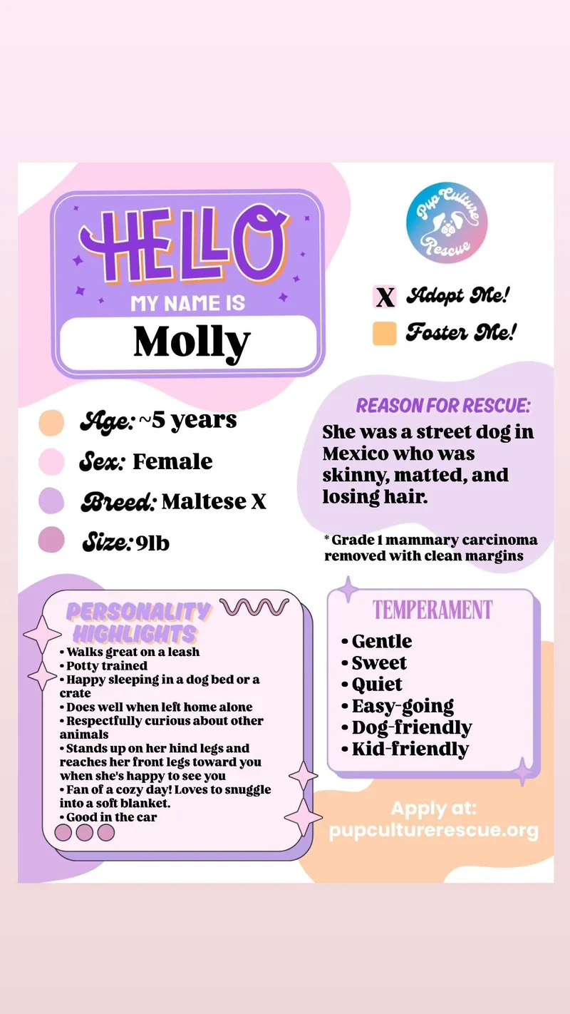 Molly thumbnail 6