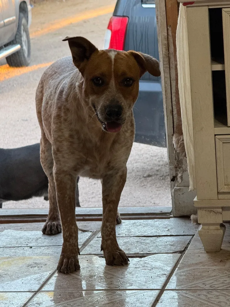 Mandy & Randy  thumbnail 2