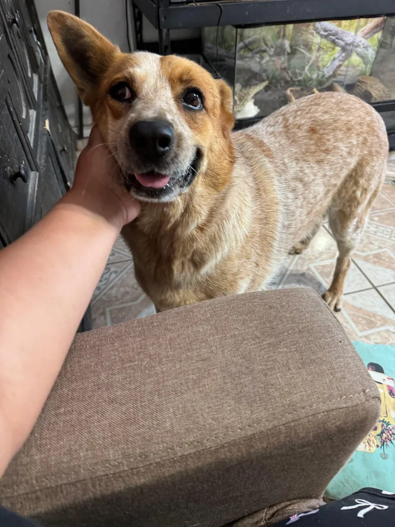 Mandy & Randy  thumbnail 3