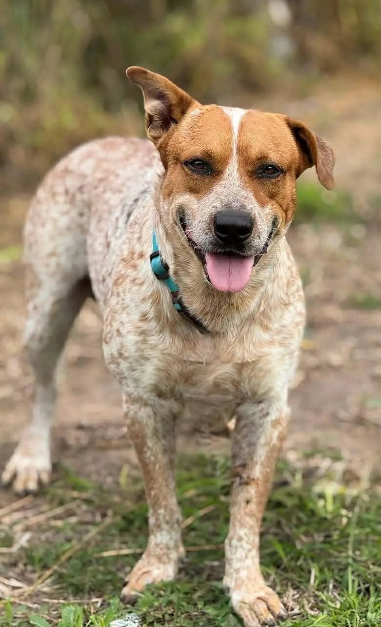 Mandy & Randy  thumbnail 4