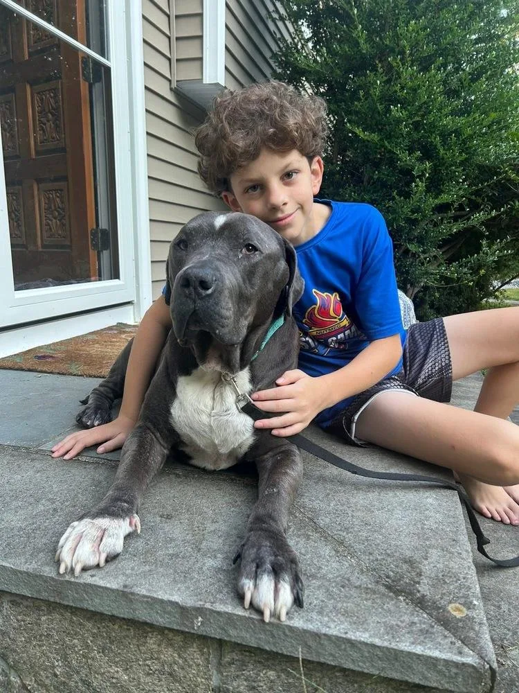 Lucky Loki thumbnail 6