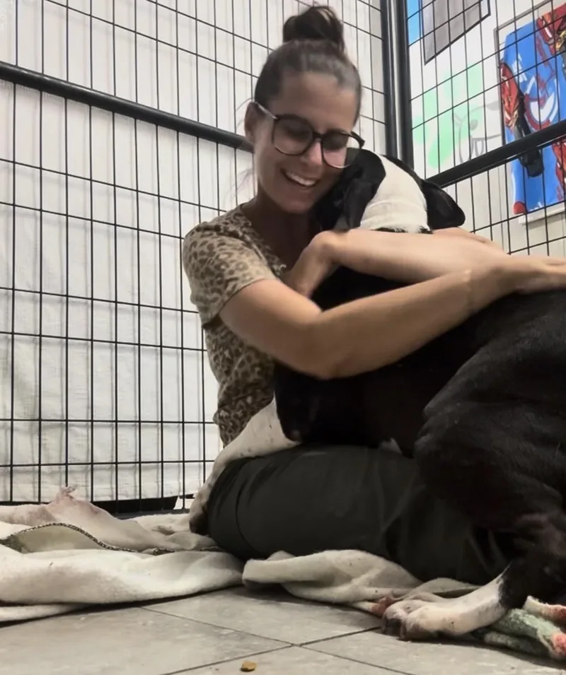An adult medium-sized female Mixed Breed dog named Ruple for adoption in Springhill, LA
