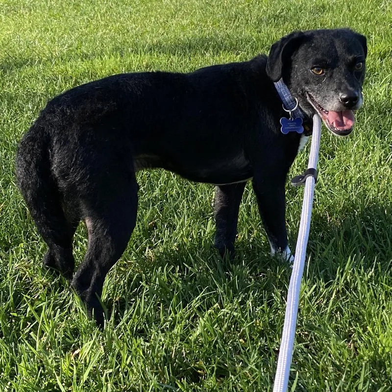 Jeddi Costa Mesa Location thumbnail 3