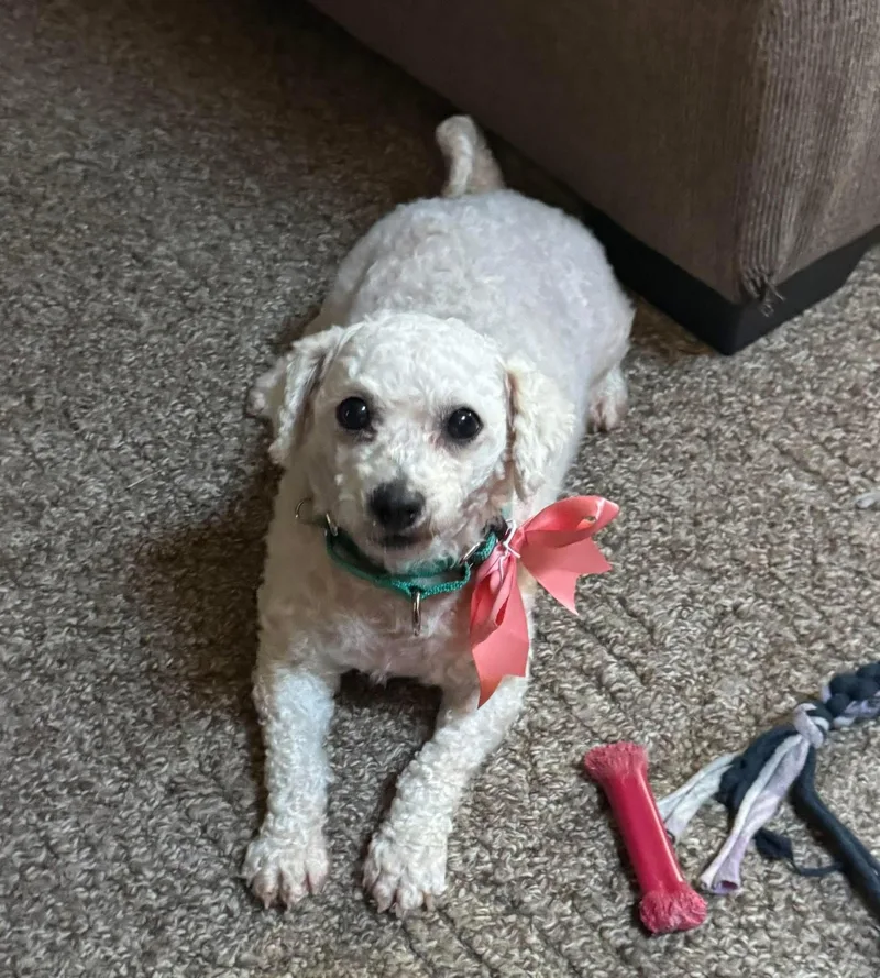Ellie