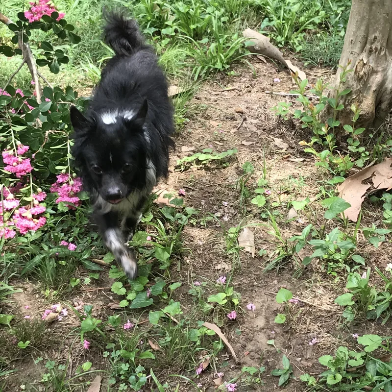 Chex Ralston thumbnail 2