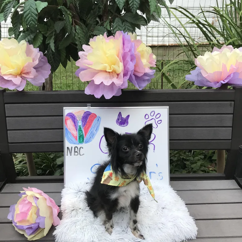 Chex Ralston thumbnail 4