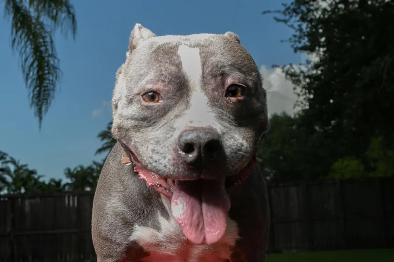 Lola thumbnail 2