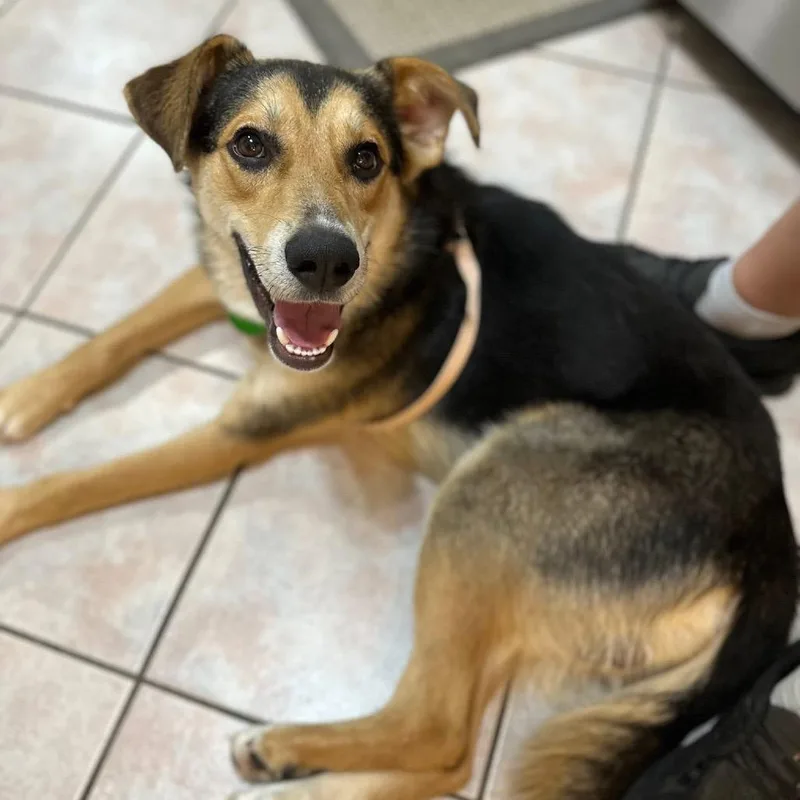 Charlie Barley thumbnail 2