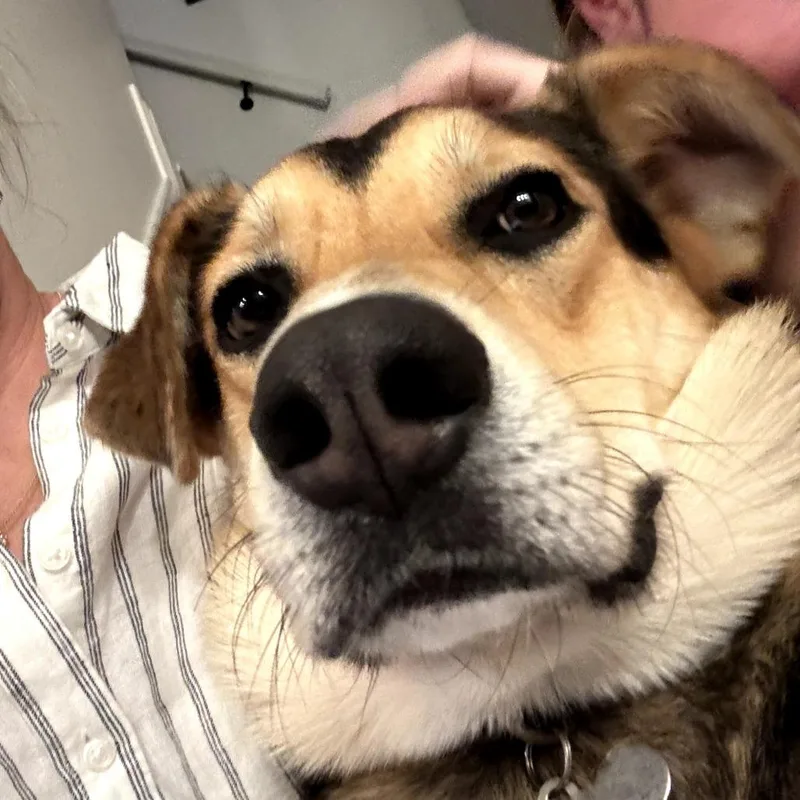 Charlie Barley thumbnail 3