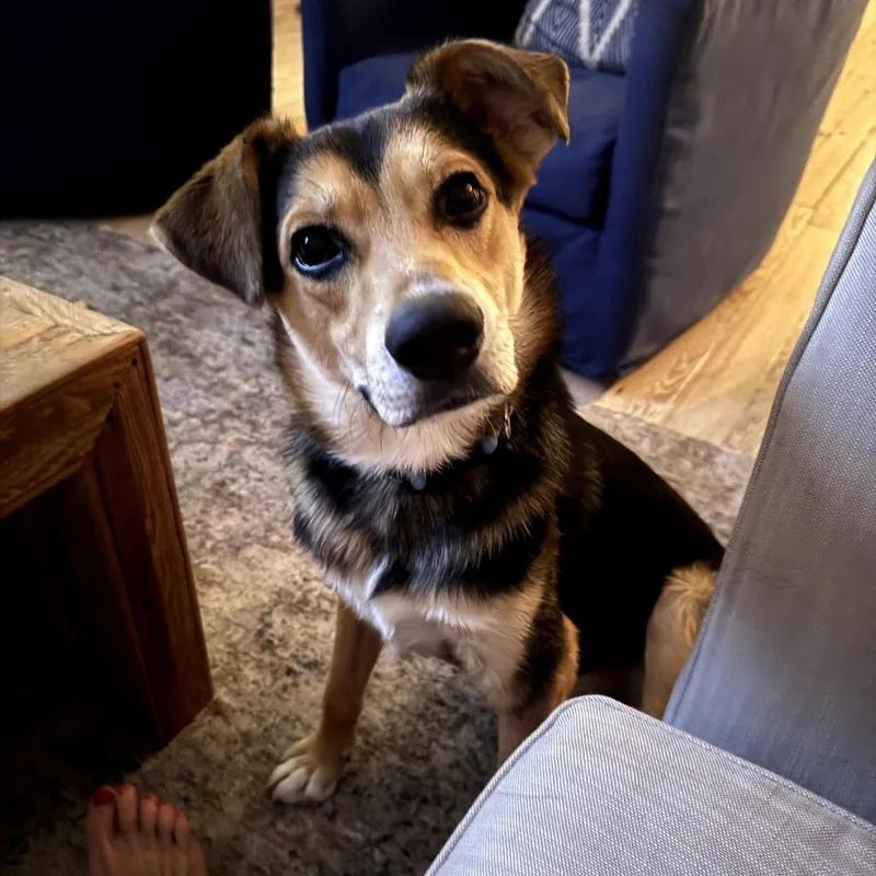 Charlie Barley thumbnail 4