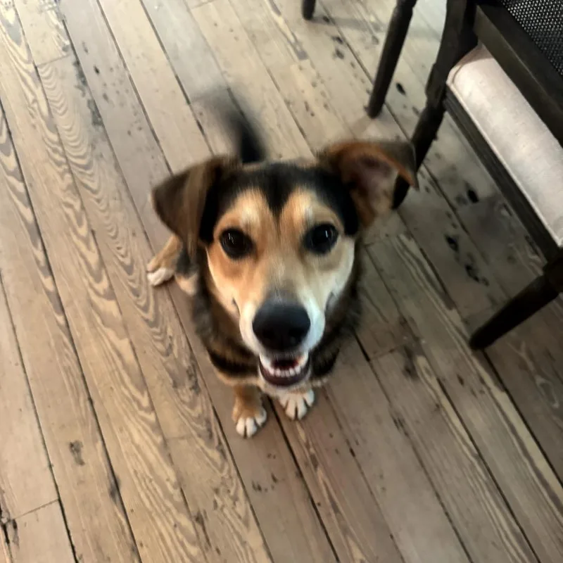 Charlie Barley thumbnail 6