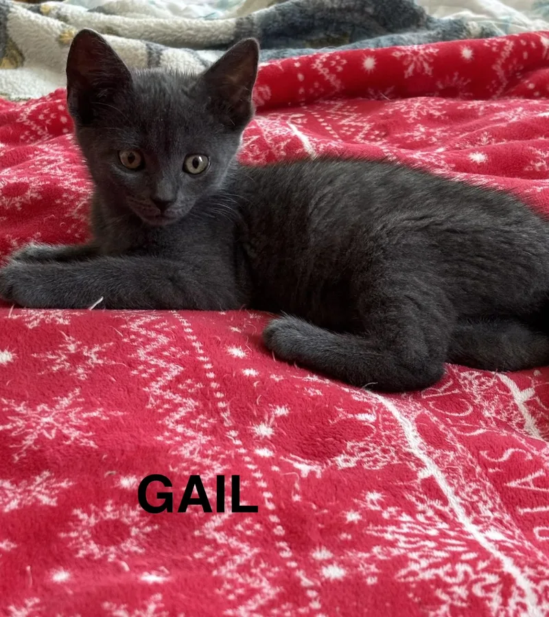 Gail thumbnail 3