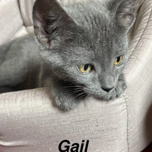 Gail thumbnail 5