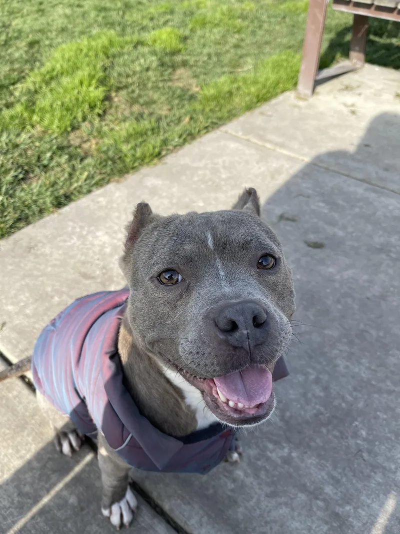 Lil Dude thumbnail 2