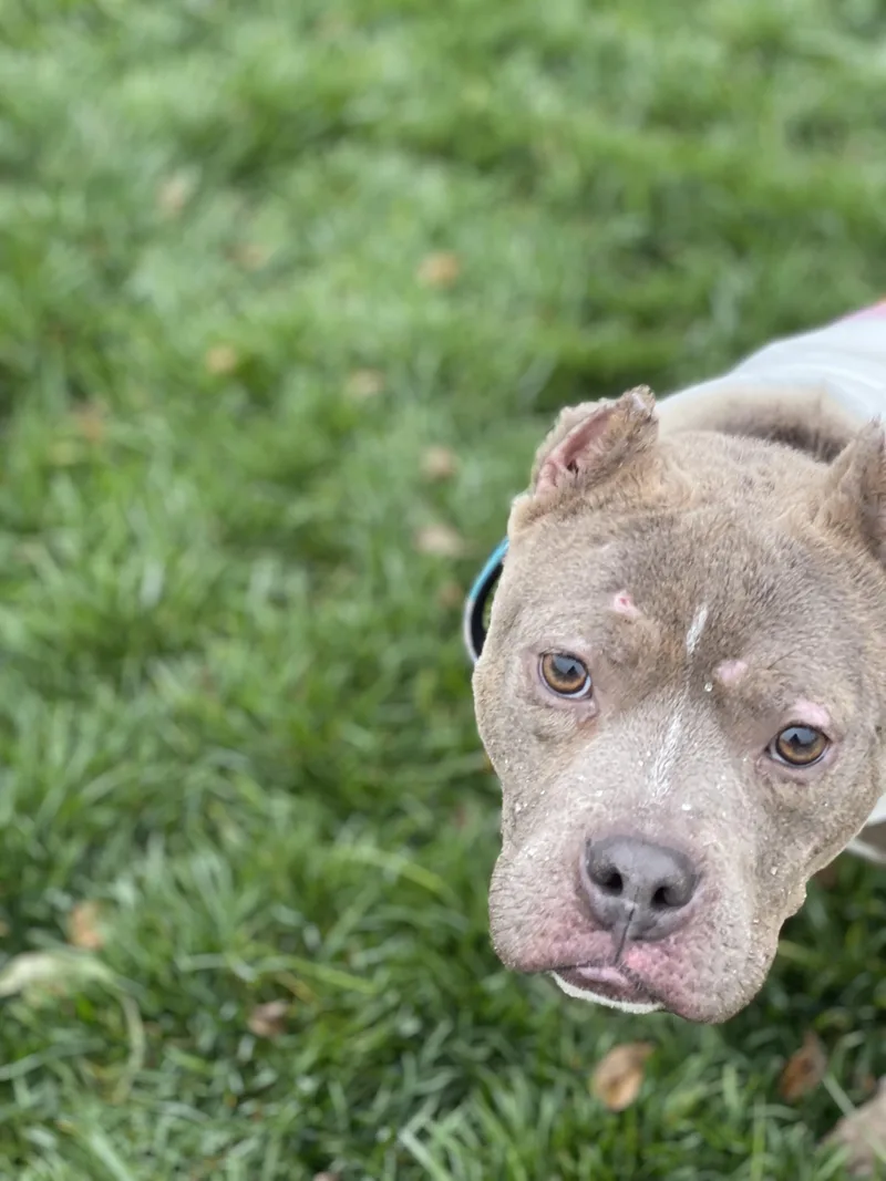 Lil Dude thumbnail 3