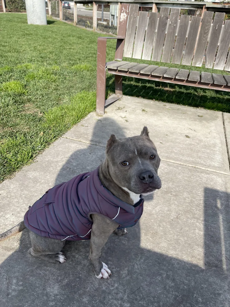 Lil Dude thumbnail 6