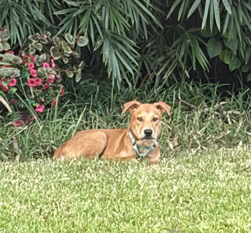 Benny
