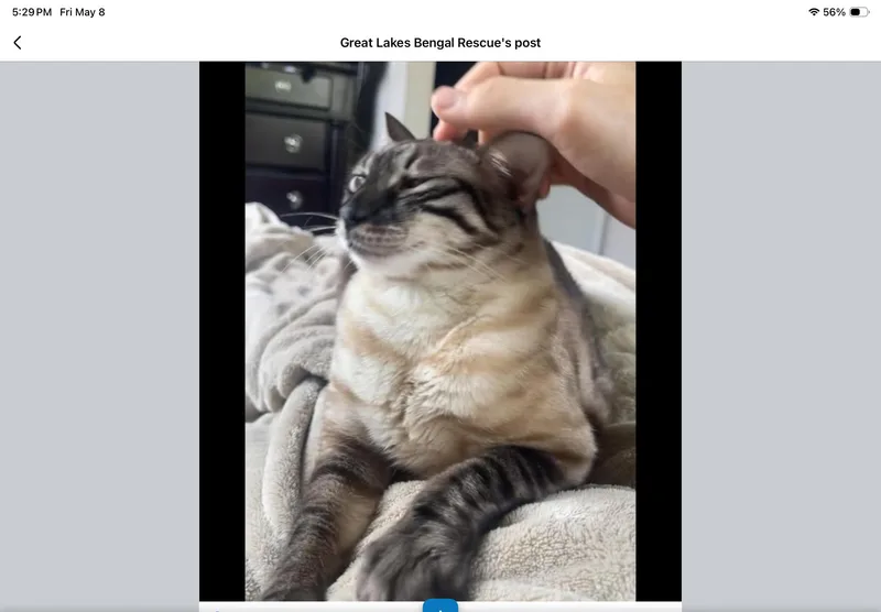 Penelope  Oh thumbnail 2