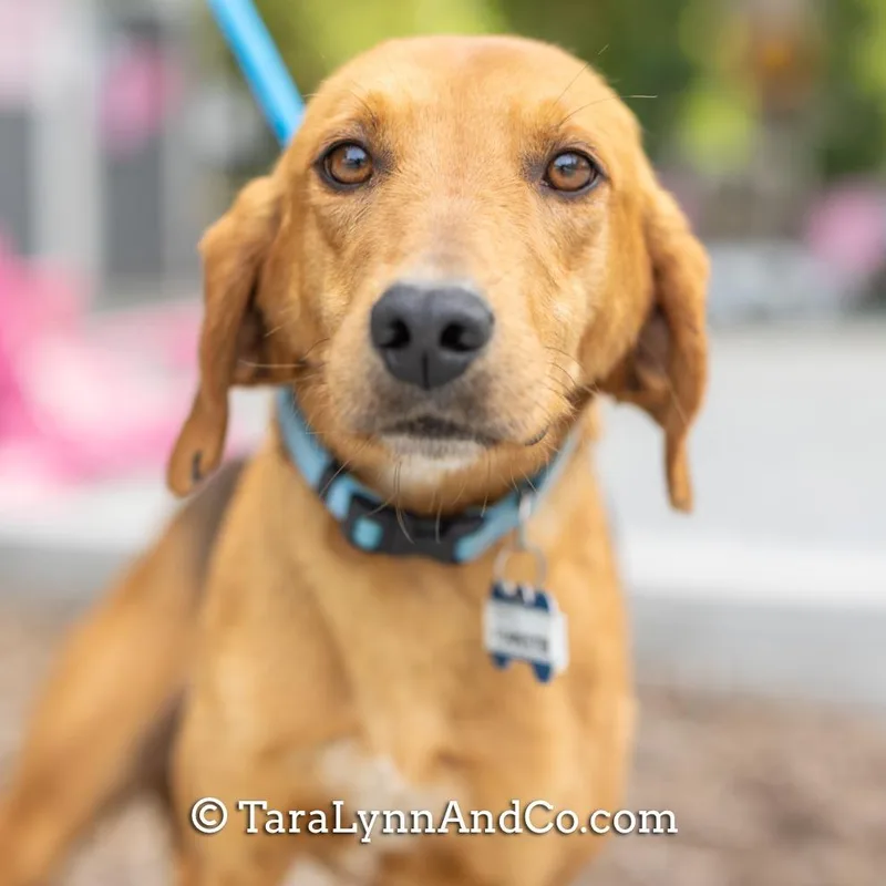 Forrester thumbnail 2