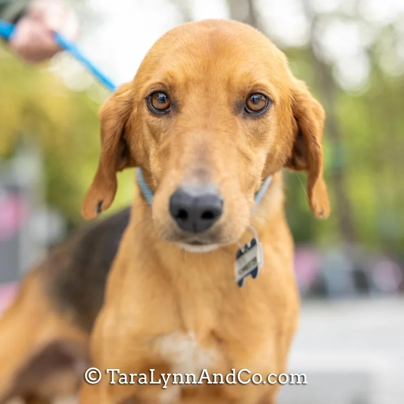 Forrester thumbnail 3