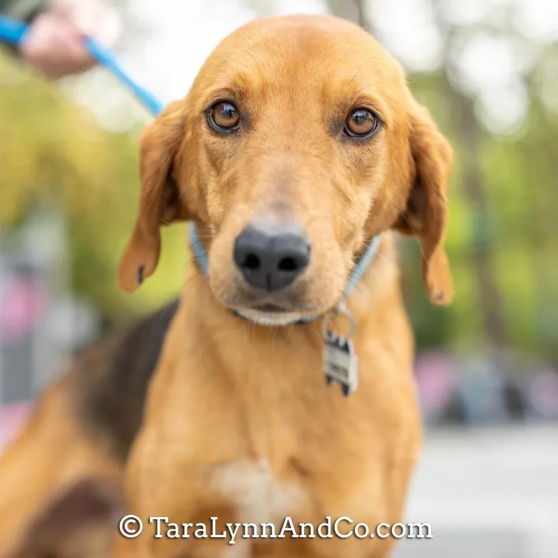 Forrester thumbnail 6