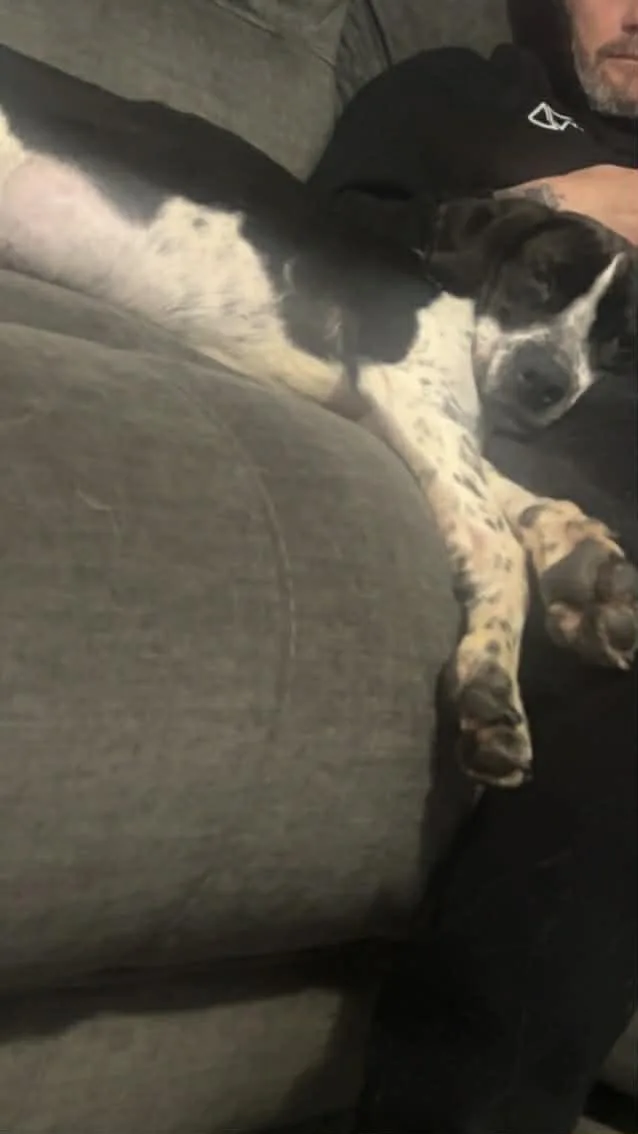 Domino thumbnail 2