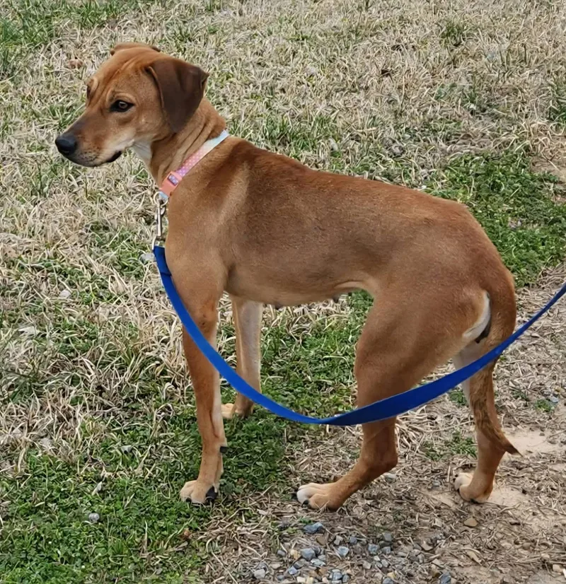 Lady Urgent thumbnail 2